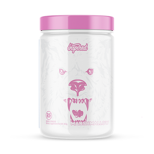BBD PRE-WORKOUT